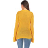 Fashion Plus Knit Hollow out Mandarin sleeve Sweaters