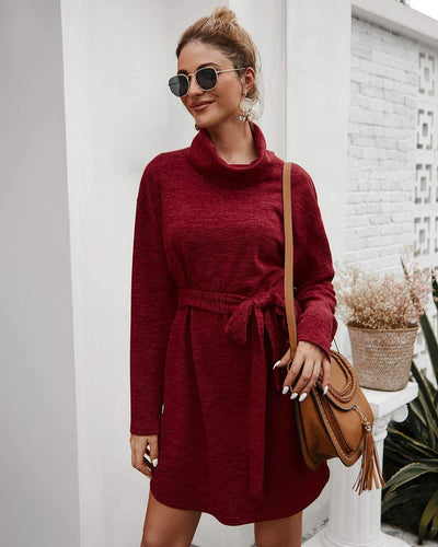 Fashion Pure Lacing High collar Long sleeve Knit Skater Dresses