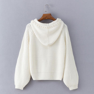 Fashion Hooded Long Sleeve Plain Knitting Sweaters
